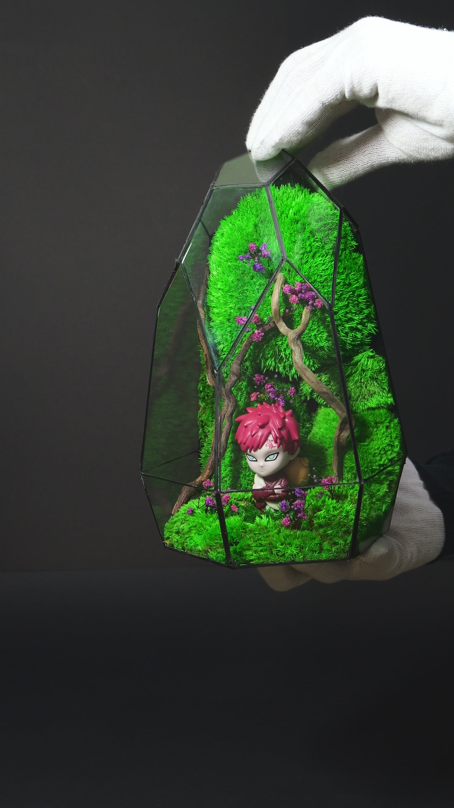 Terrarium 19 "Gaara"