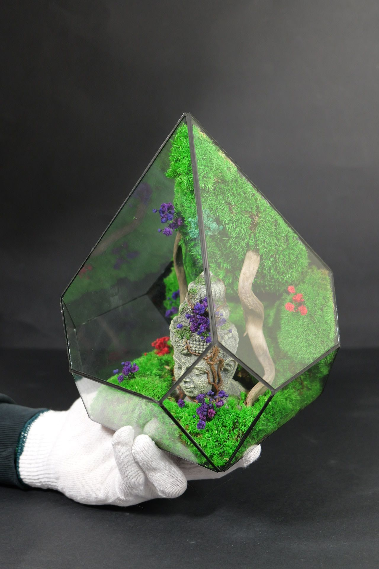 Terrarium 4