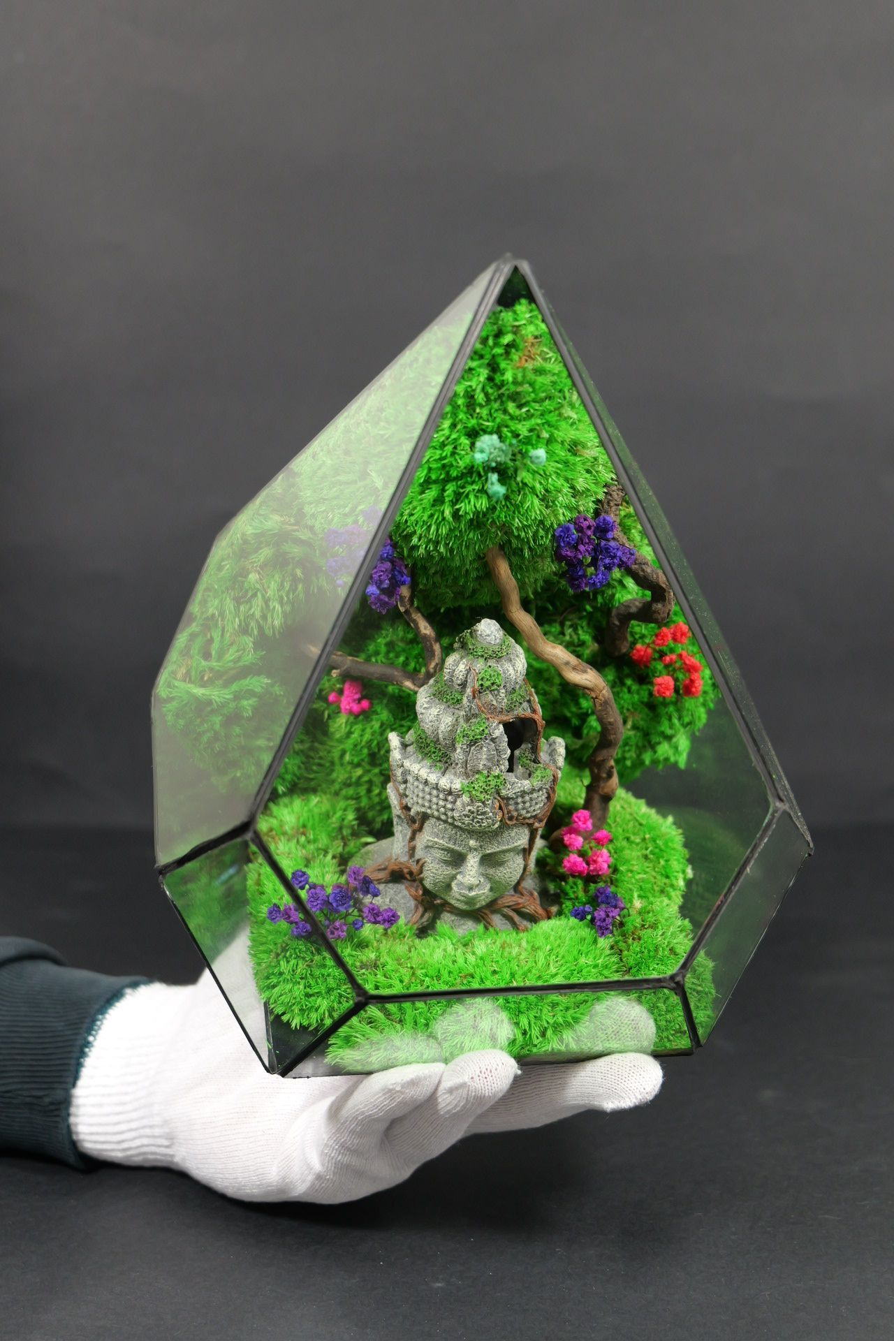 Terrarium 2