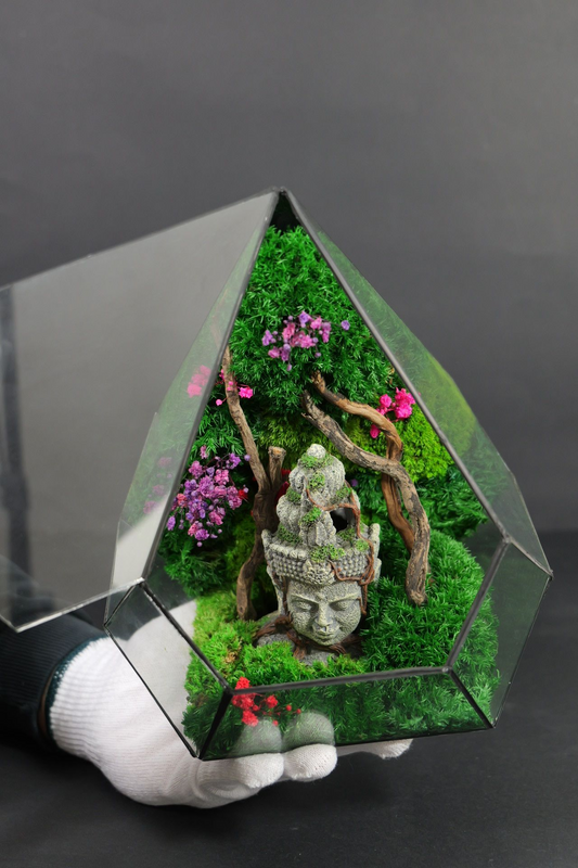 Terrarium 8