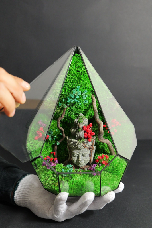 Terrarium 7