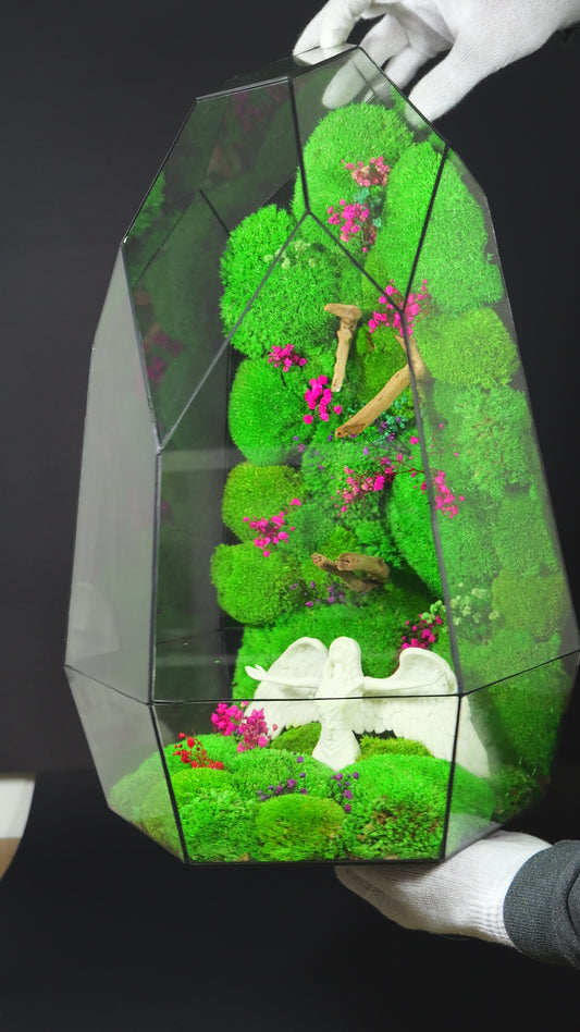 Terrarium 38 GIGANTE