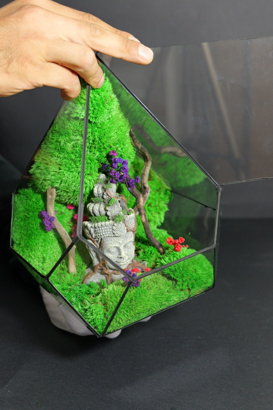 Terrarium 13