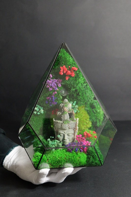 Terrarium 5