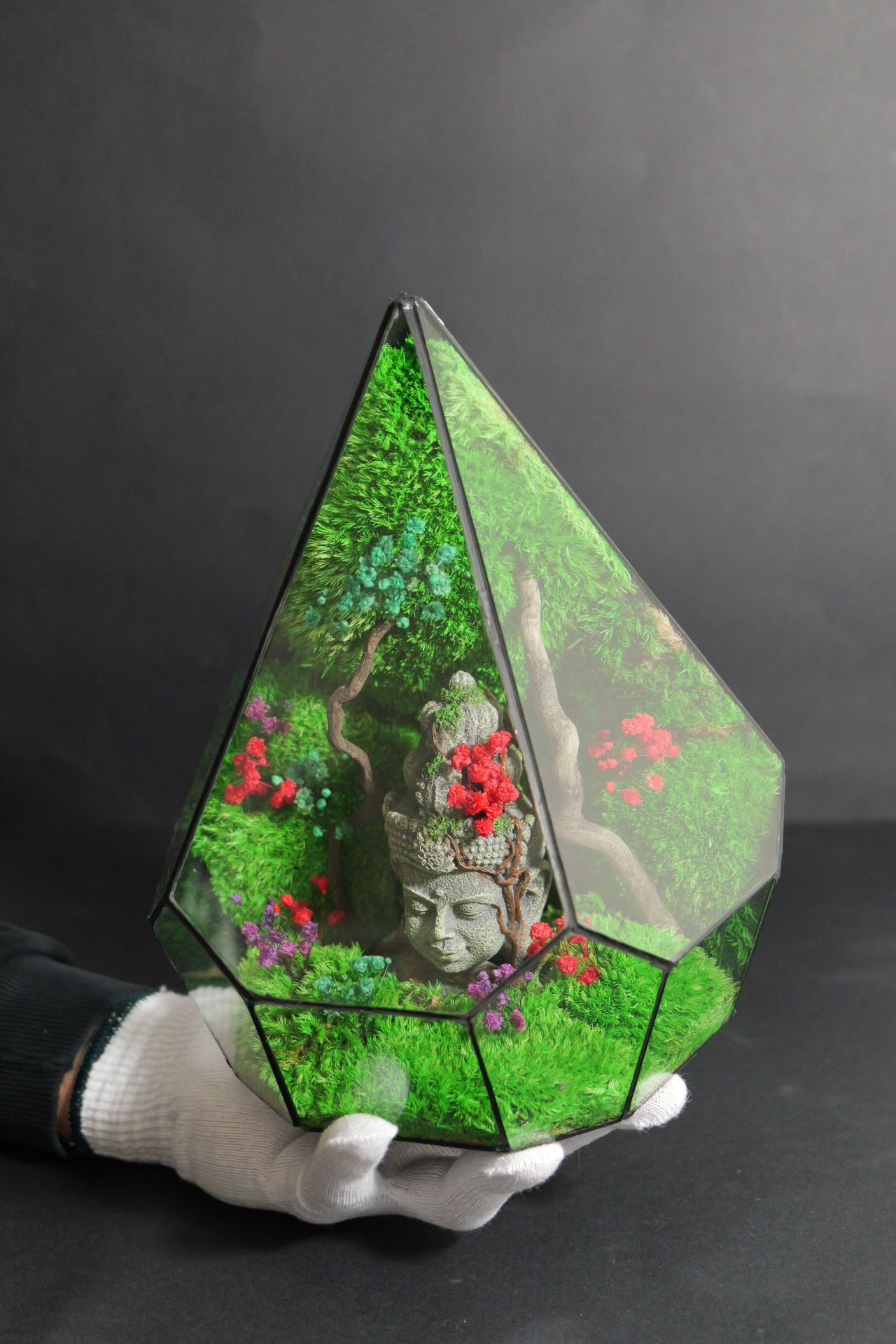 Terrarium 7