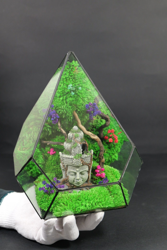 Terrarium 2