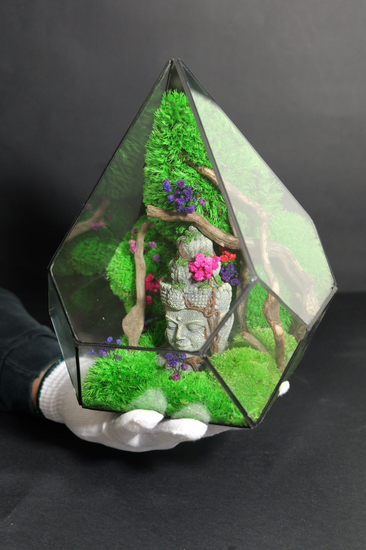 Terrarium 14