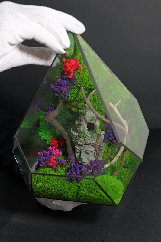 Terrarium 12