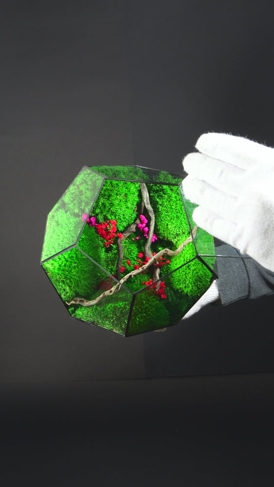 Terrarium Regalo Originale – Giardino in Miniatura in Vetro 31