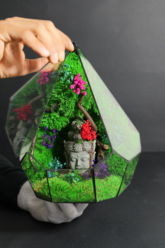 Terrarium 6
