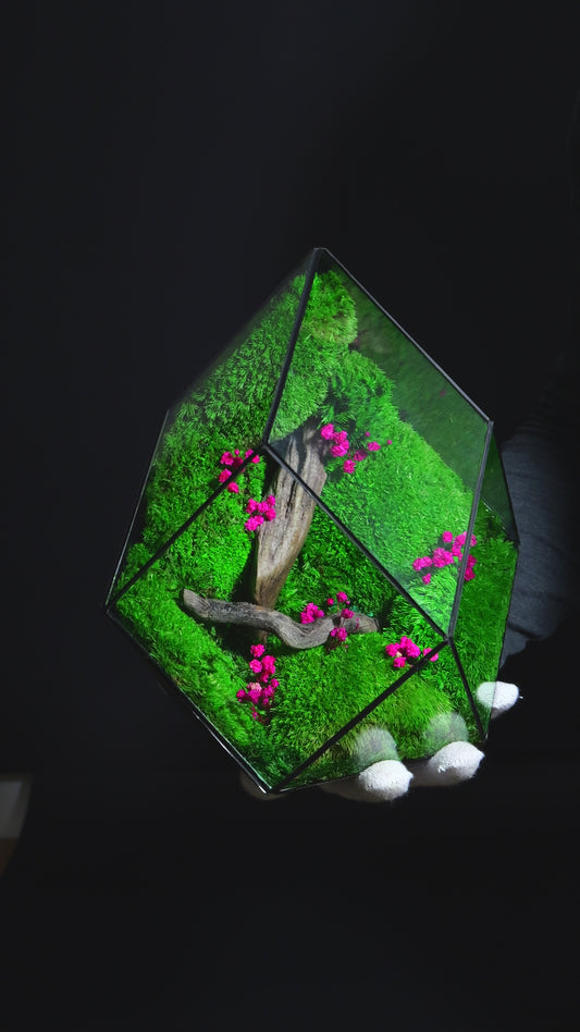 Terrarium di Design per Interni – Arredo Botanico Moderno 40