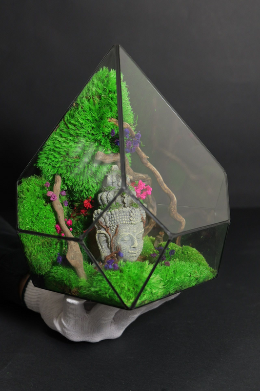 Terrarium 14