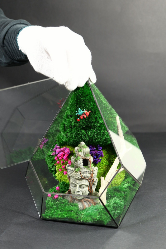 Terrarium 10