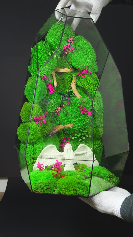 Terrarium Decorativo – Regalo Ecologico per Casa 38