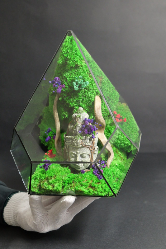 Terrarium 4