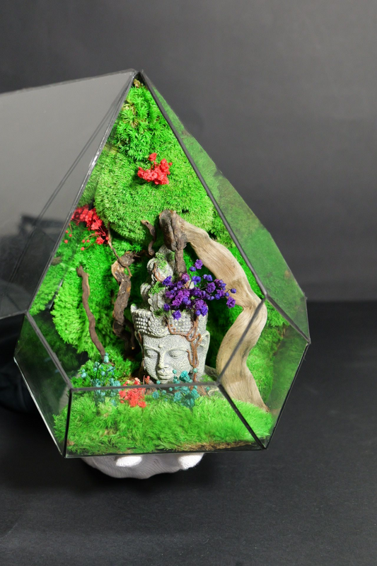 Terrarium 11