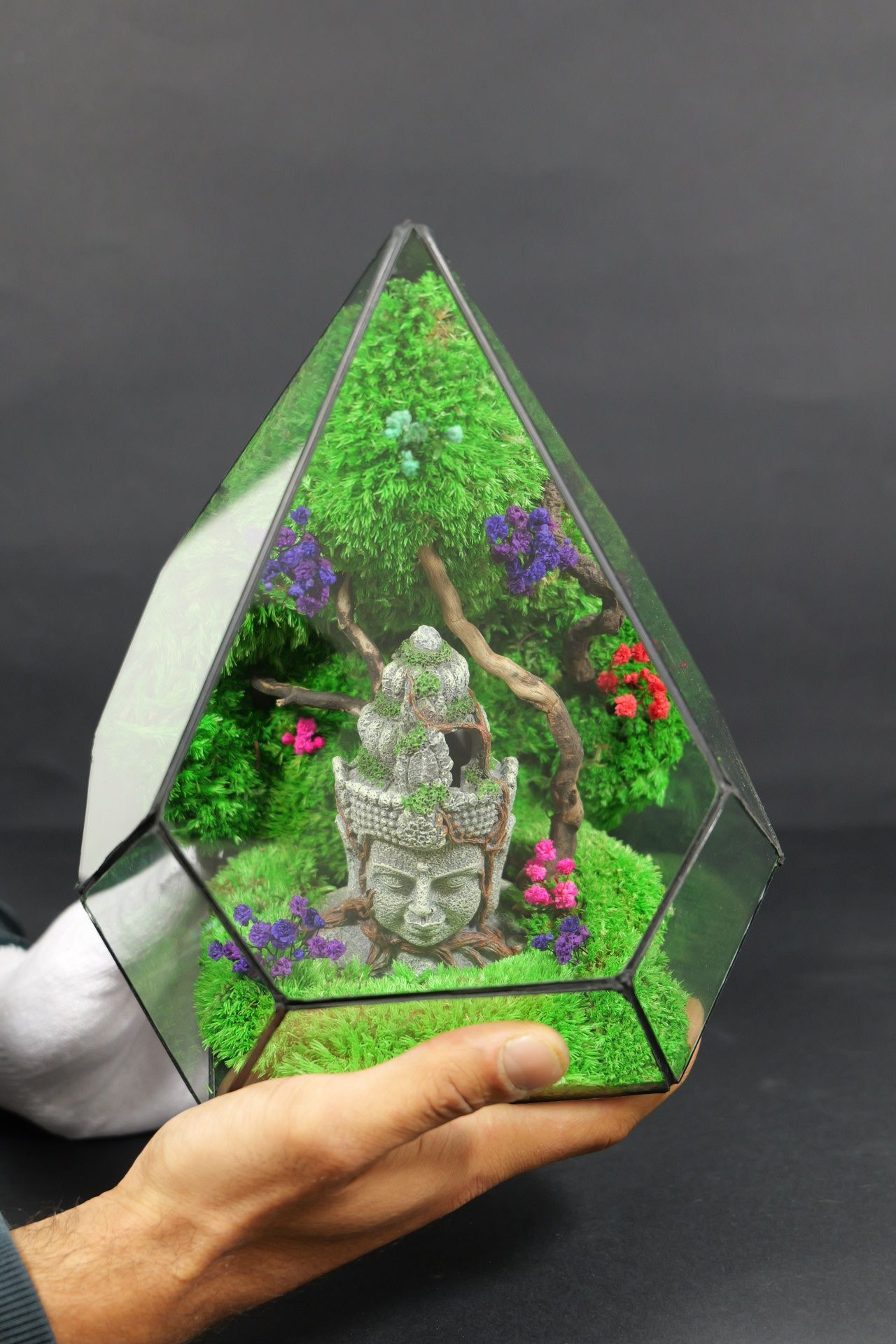 Terrarium 2