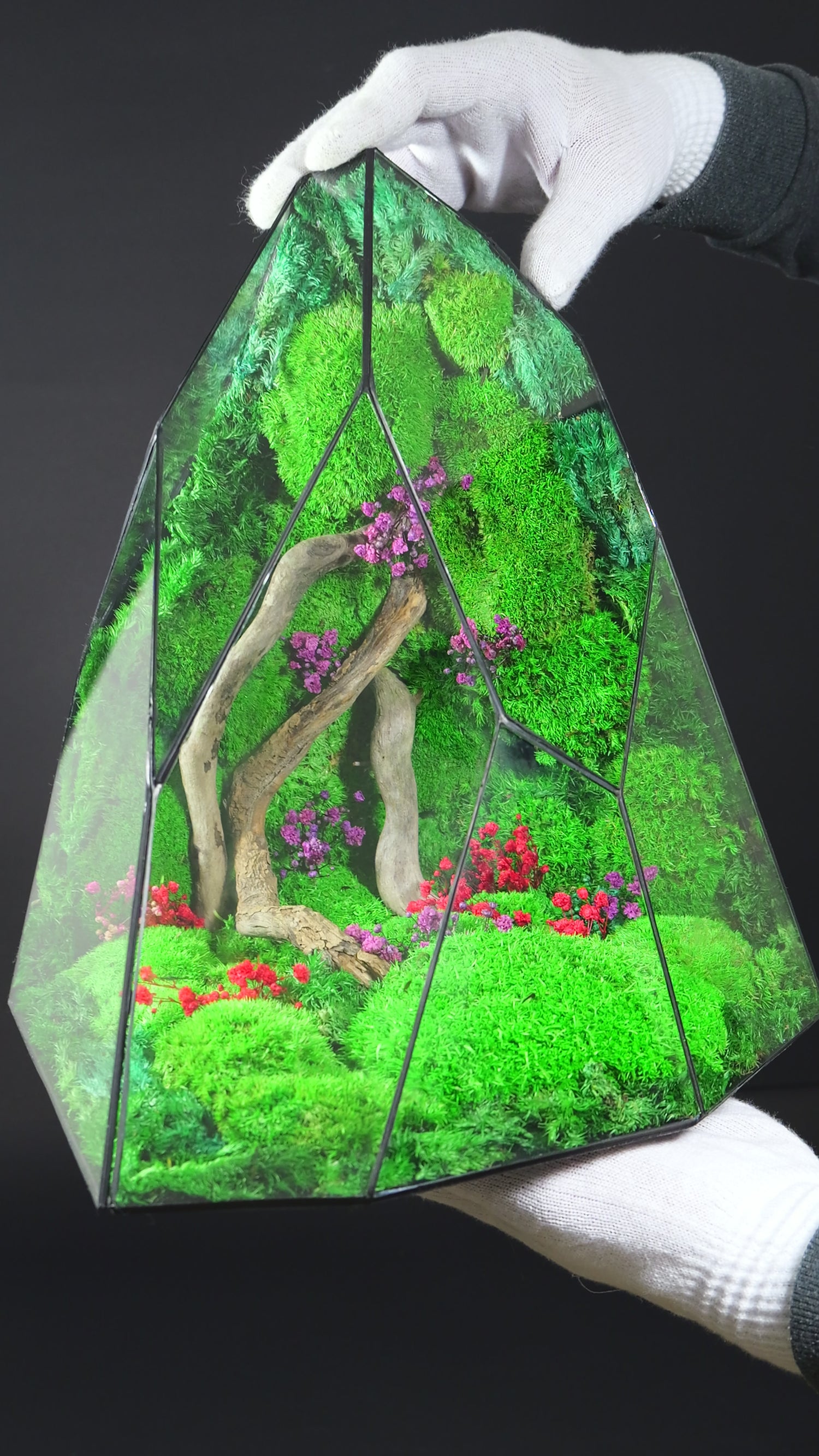 Terrarium Leggendari Giganti