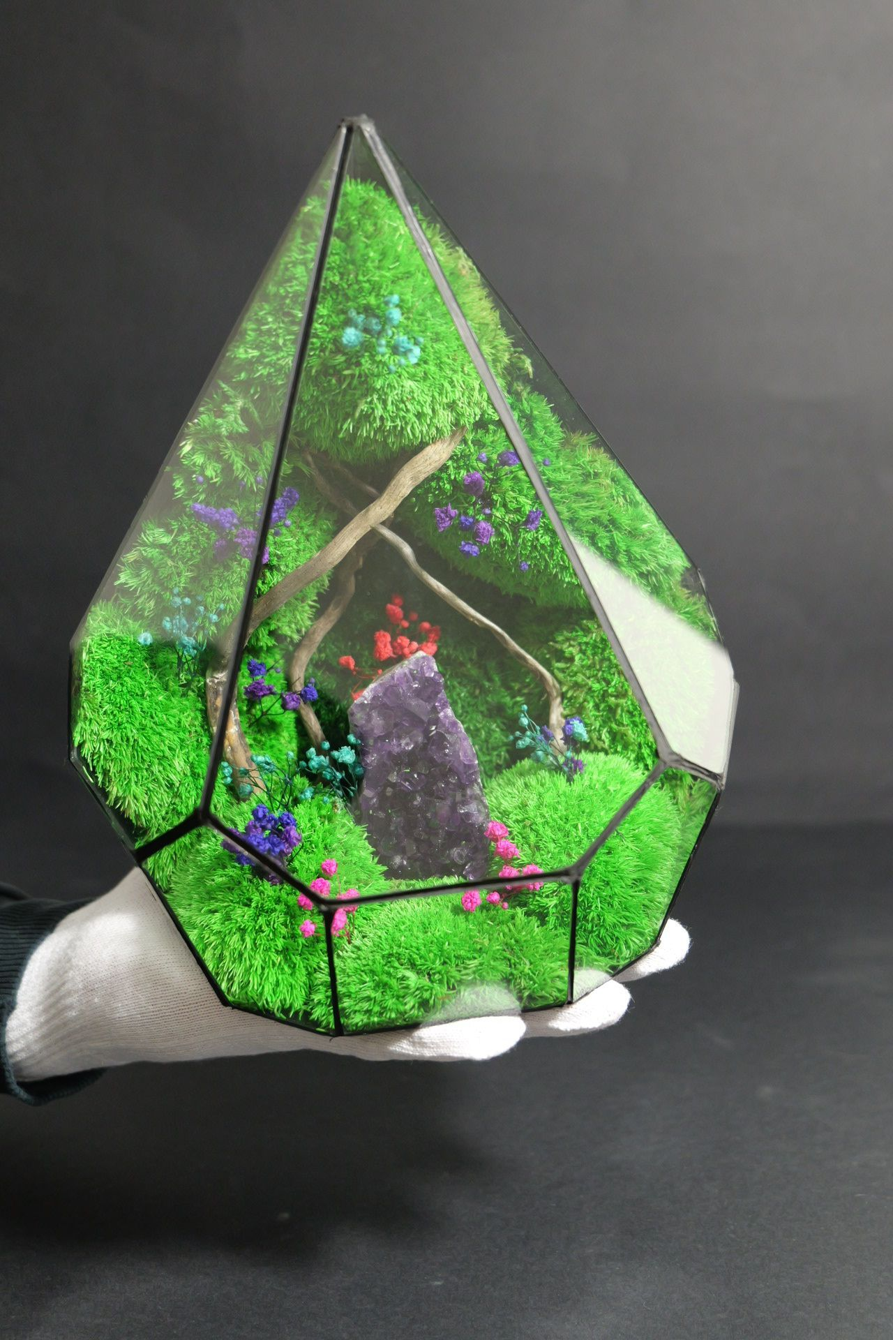 Terrarium con ametista
