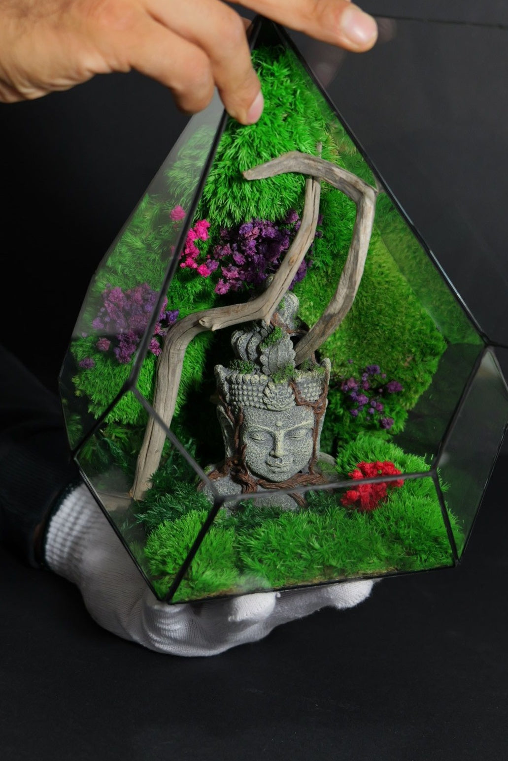 Terrarium Giardino Zen