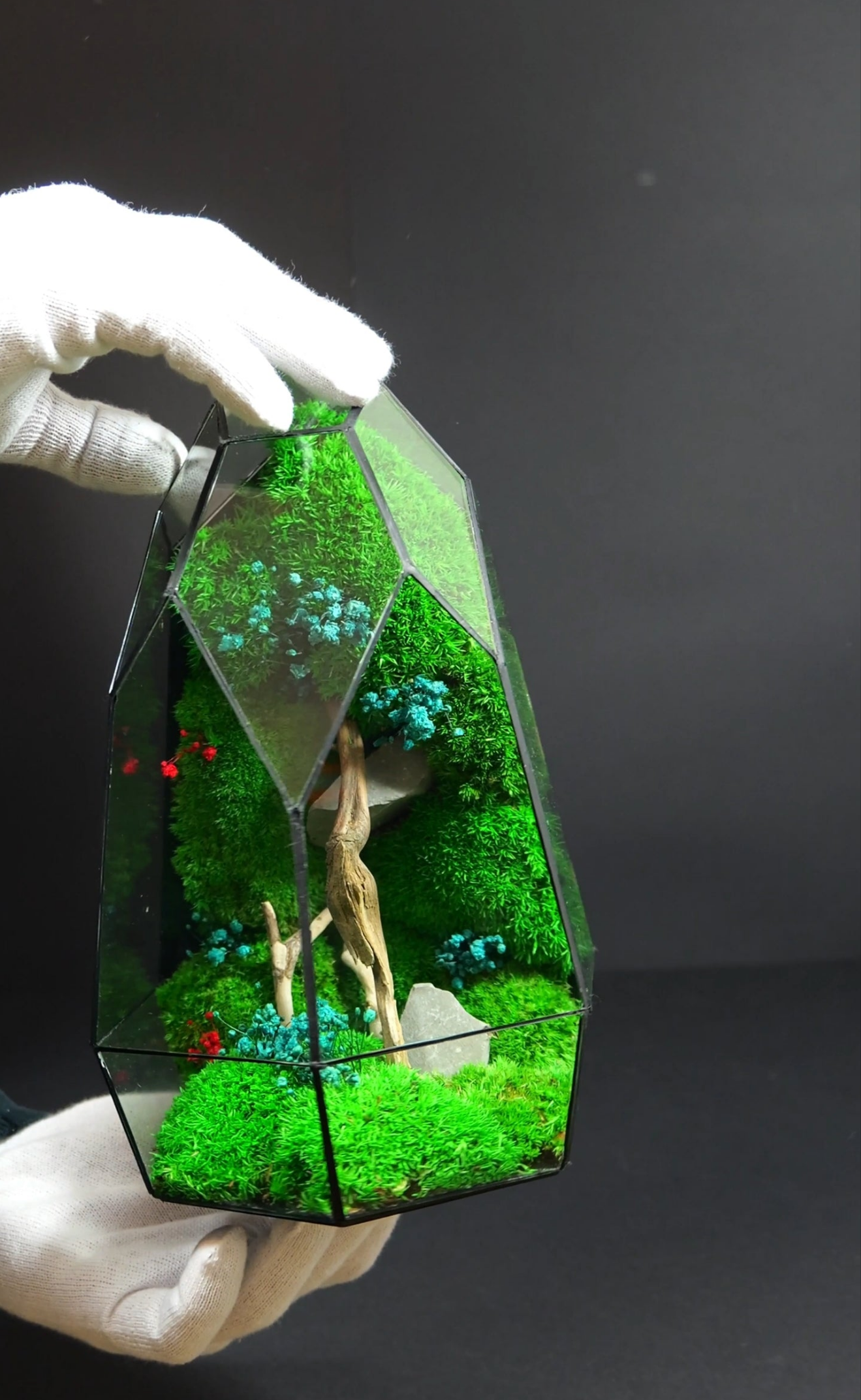 Terrarium da Tavolo Elegante – Ecosistema Verde Naturale 19