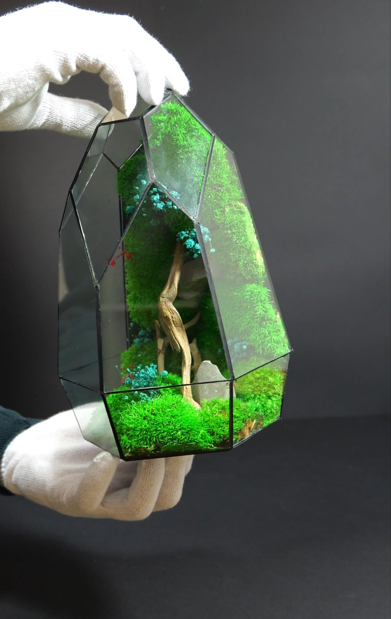 Terrarium da Tavolo Elegante – Ecosistema Verde Naturale 19