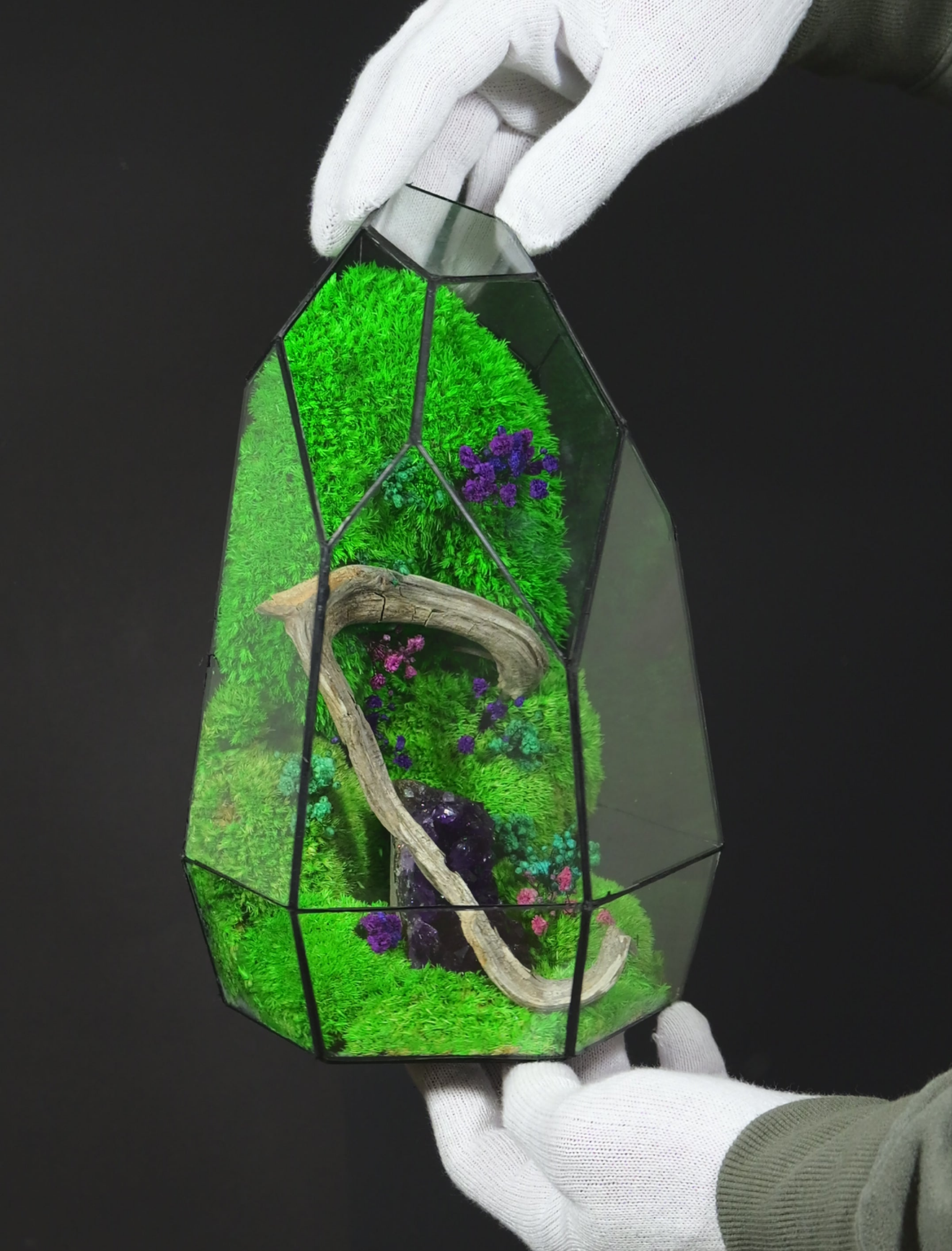 Terrarium 21