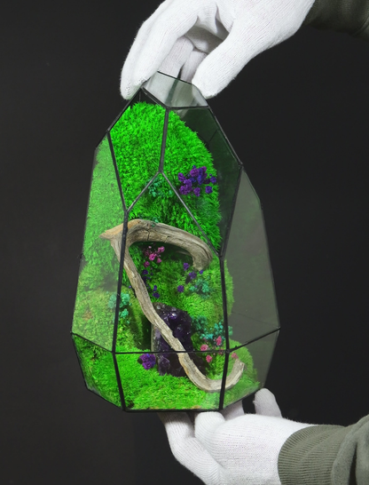 Terrarium 21