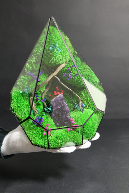 Terrarium 1