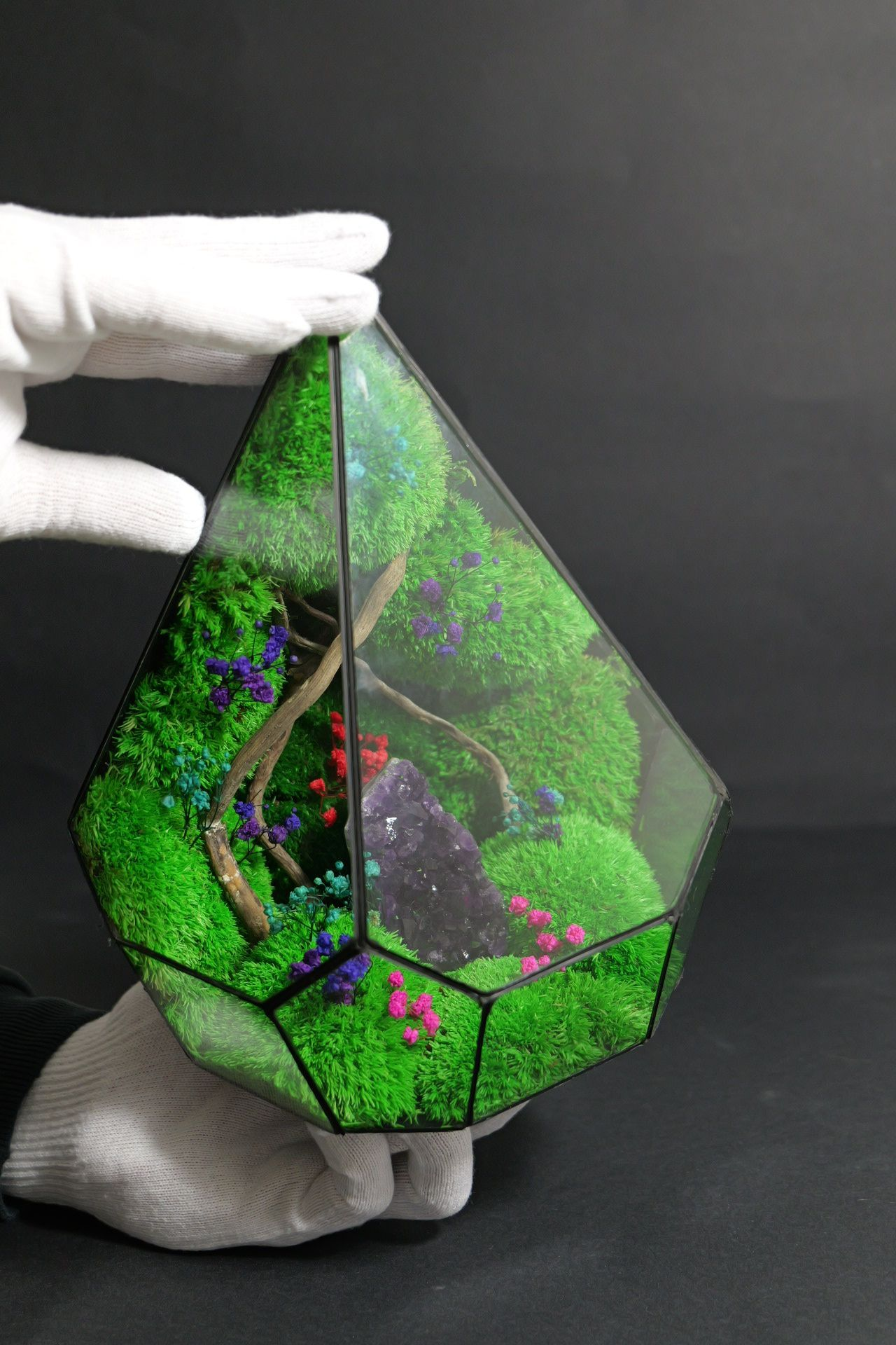 Terrarium ecosistemico chiuso naturale per ambienti interni 1
