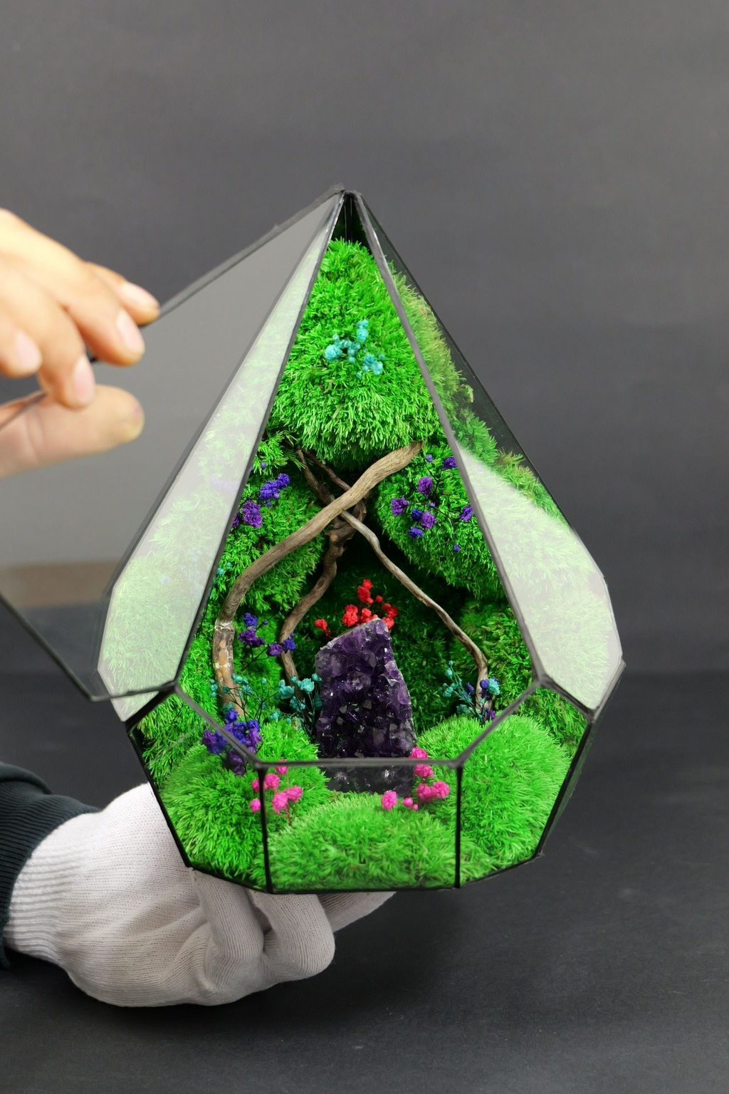 Terrarium ecosistemico chiuso naturale per ambienti interni 1