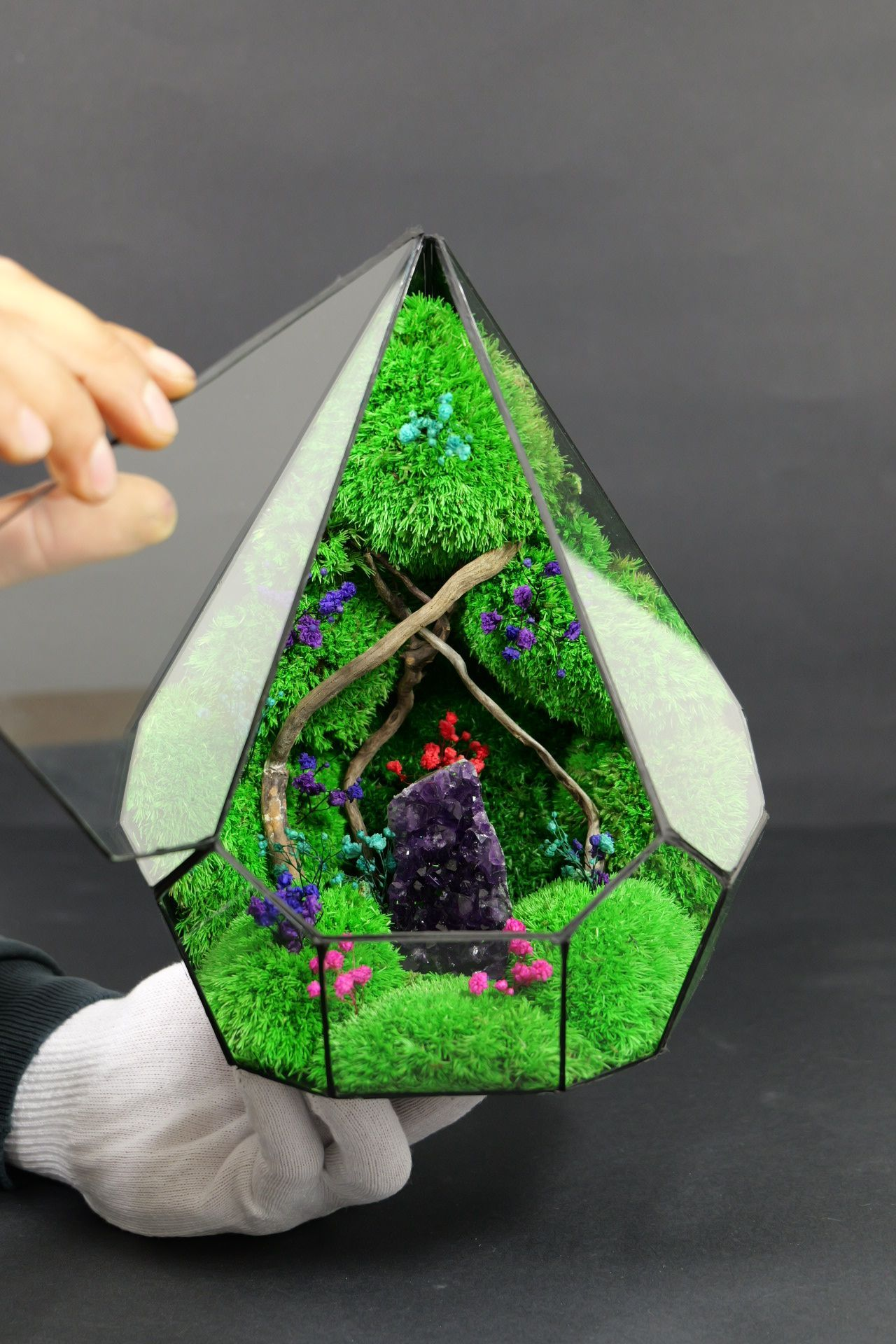 Terrarium ecosistemico chiuso naturale per ambienti interni 1