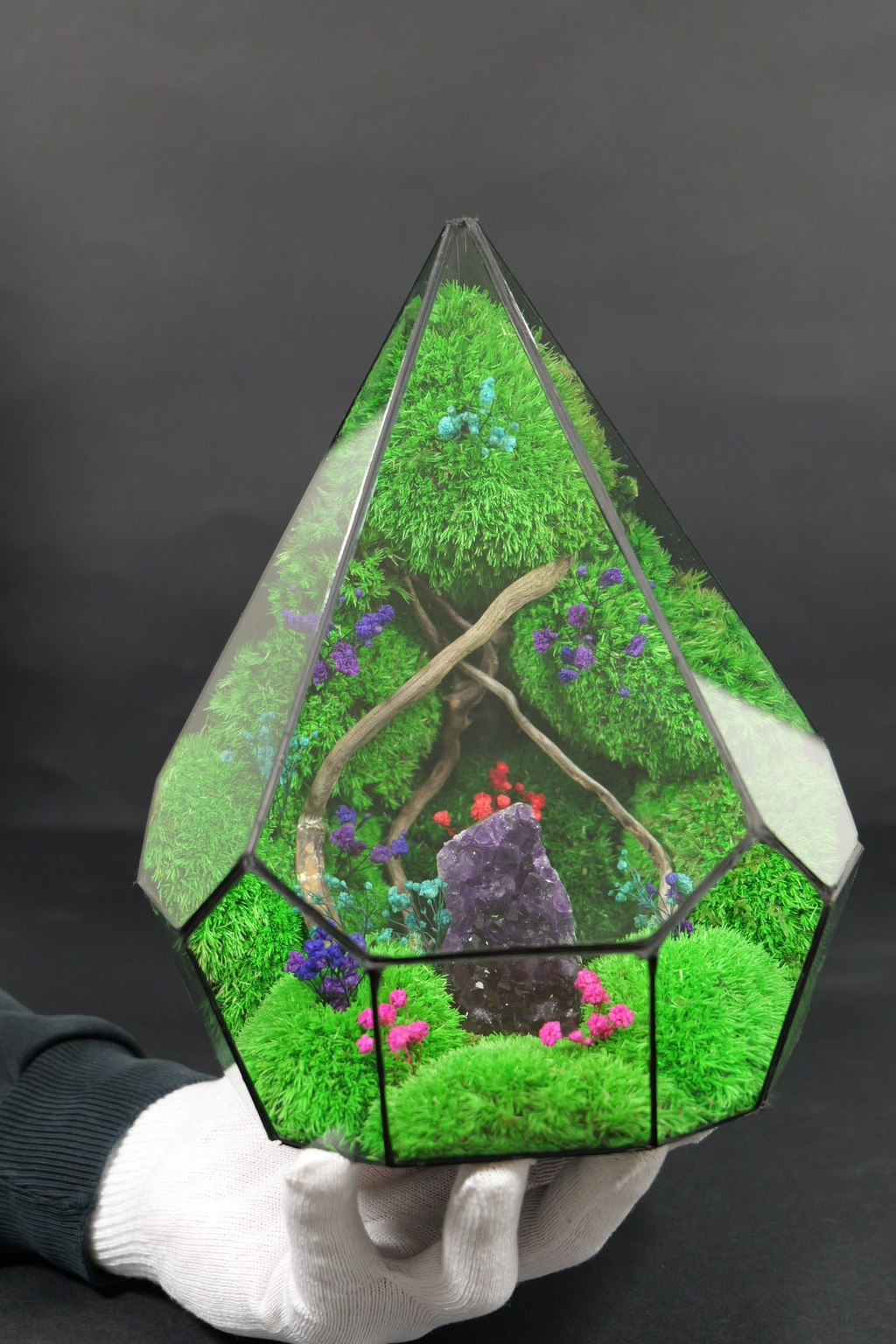 Terrarium ecosistemico chiuso naturale per ambienti interni 1
