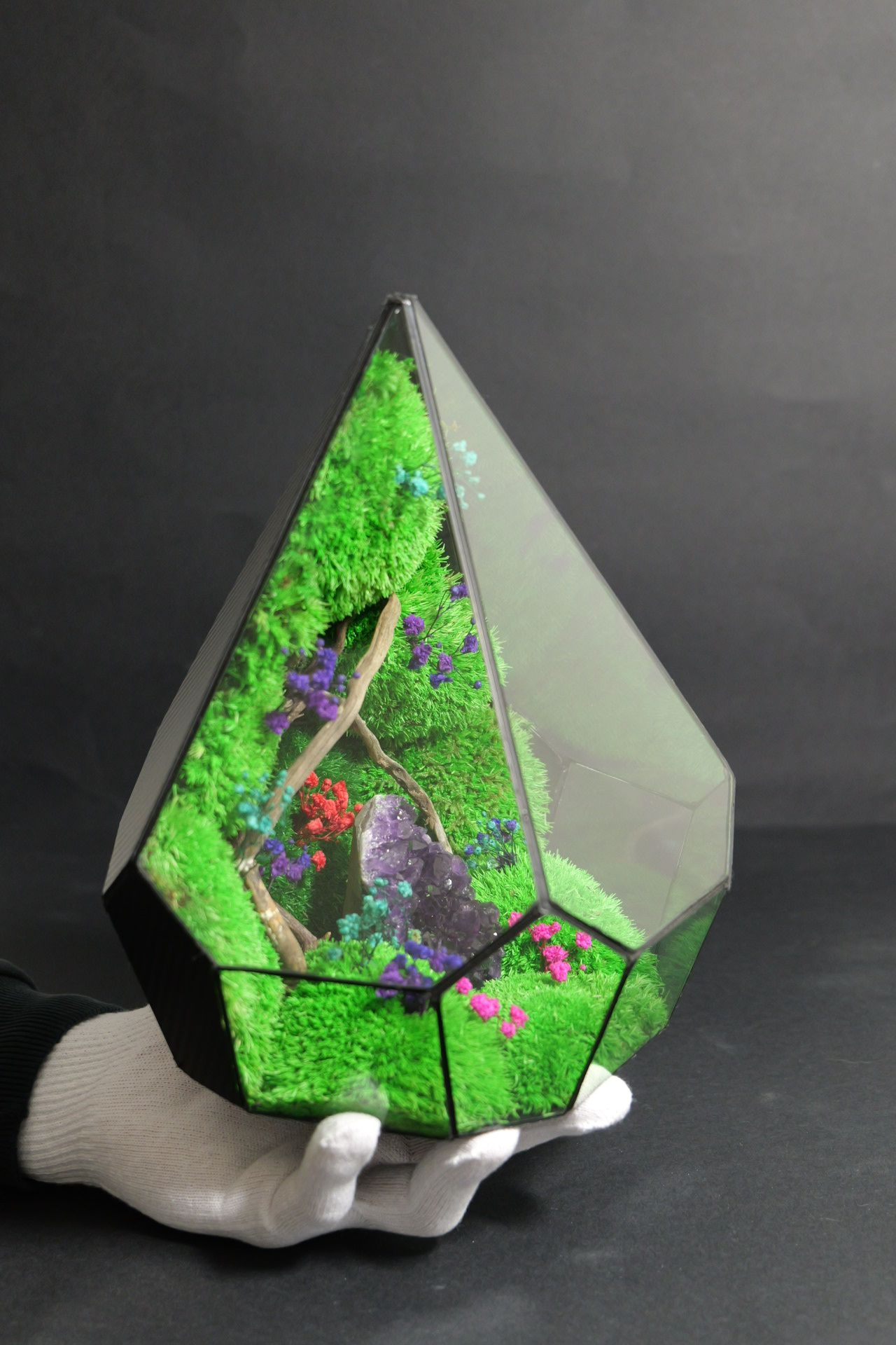 Terrarium ecosistemico chiuso naturale per ambienti interni 1