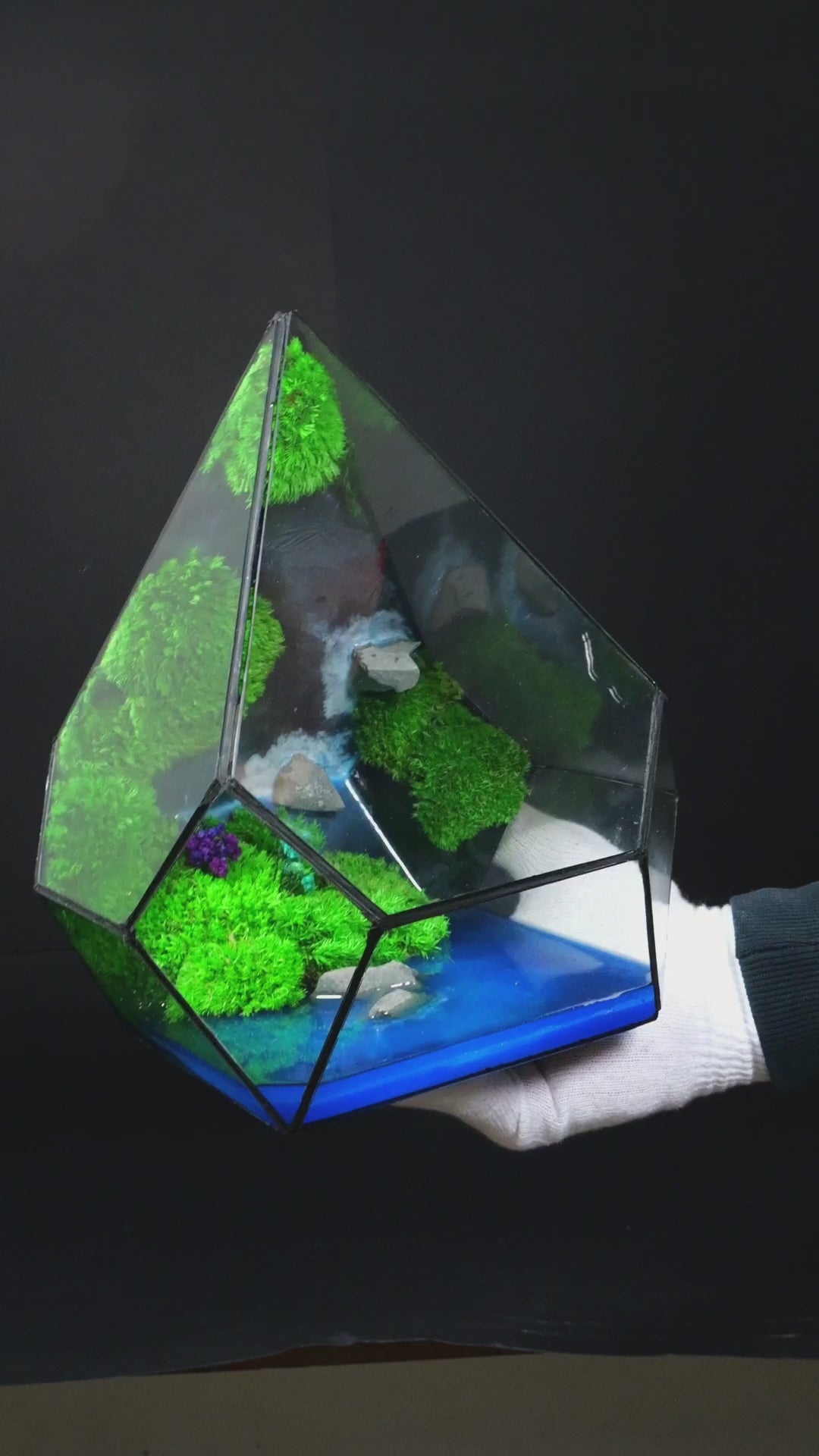 Terrarium ecosistemico chiuso autosostenibile naturale 11