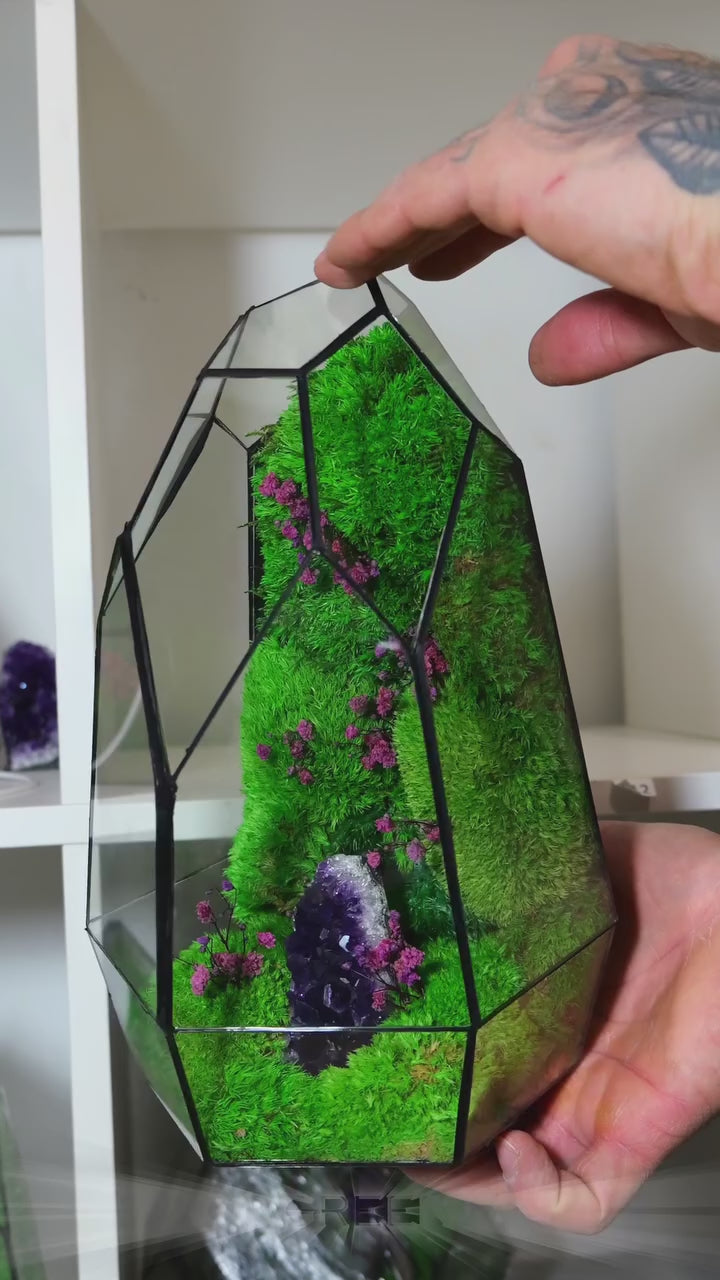 Terrario Chiusa Autosufficiente – Giardino Zen Elegante 49