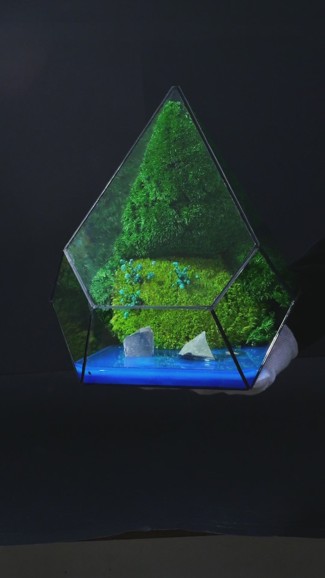 Terrarium Premium Fatto a Mano – Decorazione Naturale Esclusiva 13
