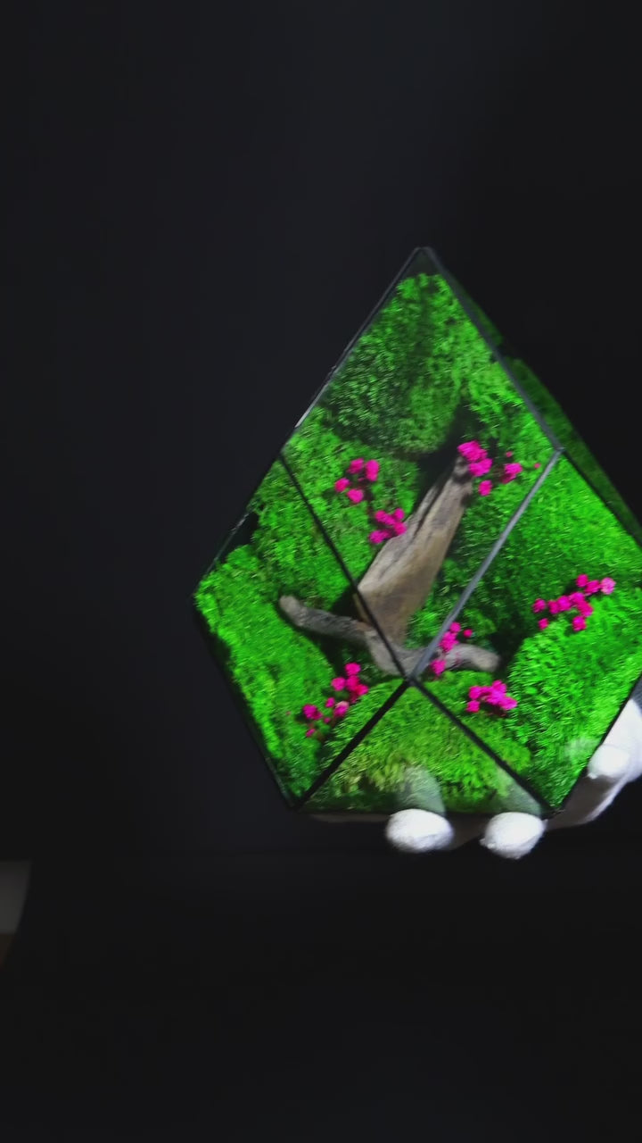 Terrarium di Design per Interni – Arredo Botanico Moderno 40