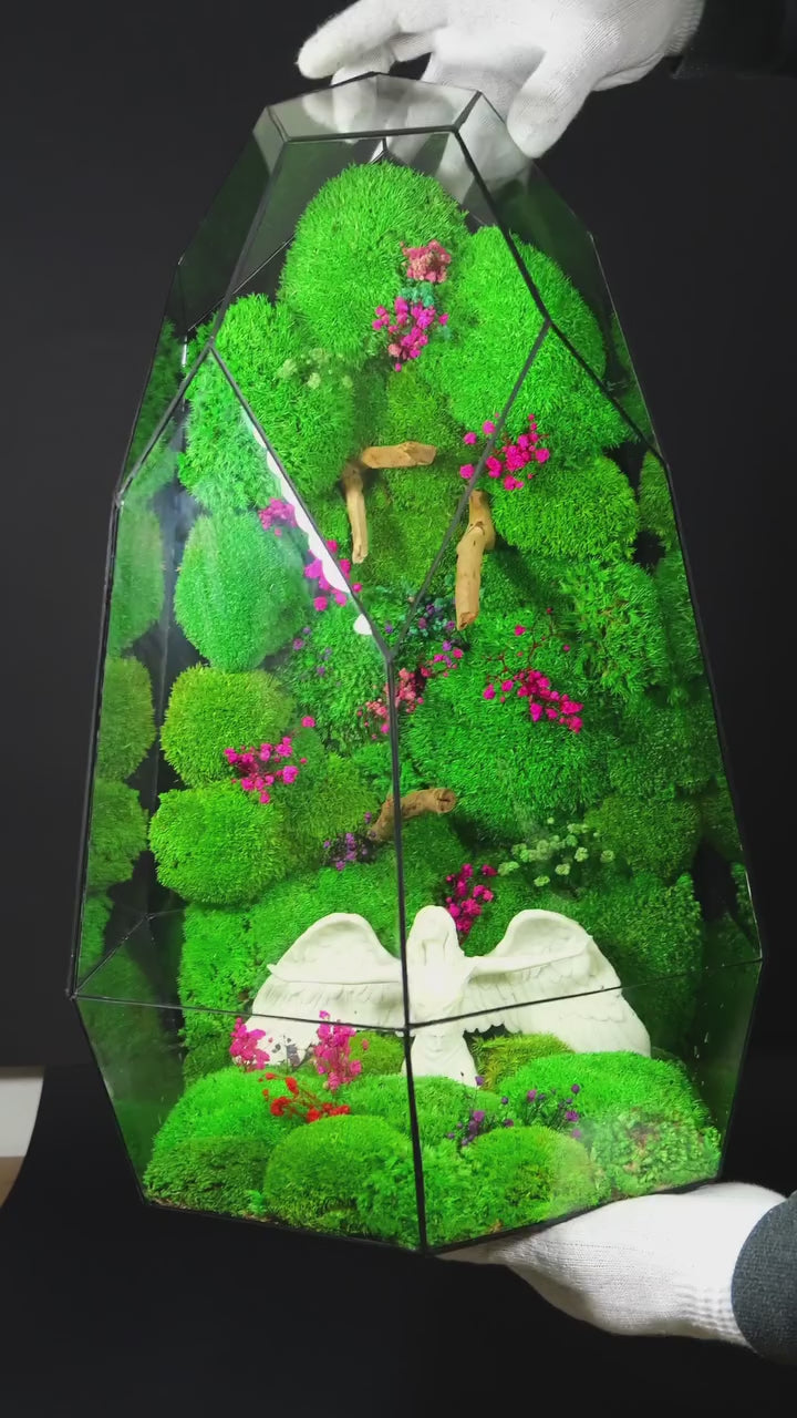 Terrarium Decorativo – Regalo Ecologico per Casa 38