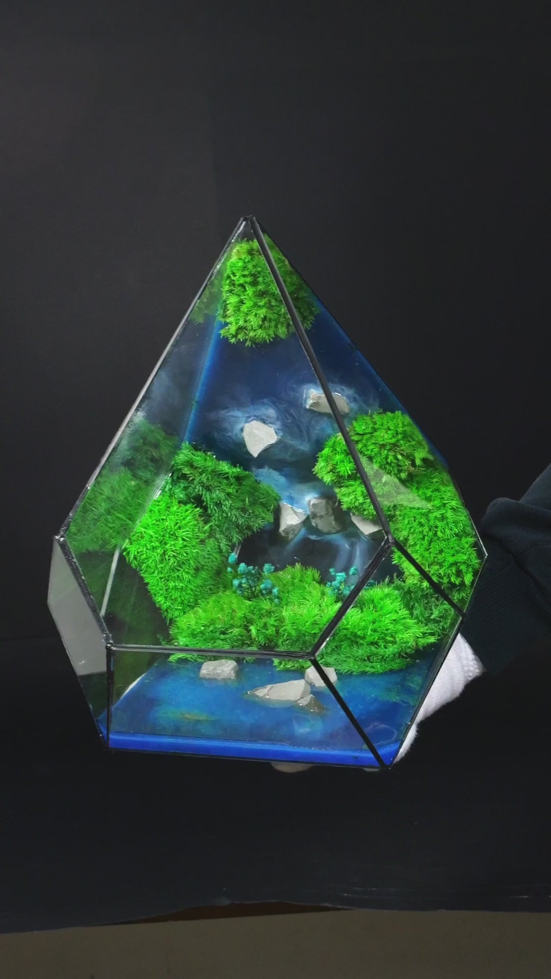 Terrarium ecosistemico vivo per interni fatto a mano 5