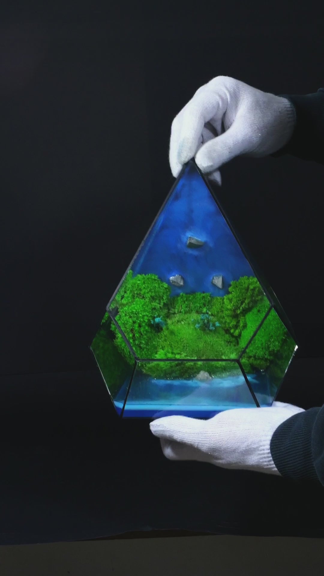 Terrarium ecosistemico di resina speciale luminescente 53