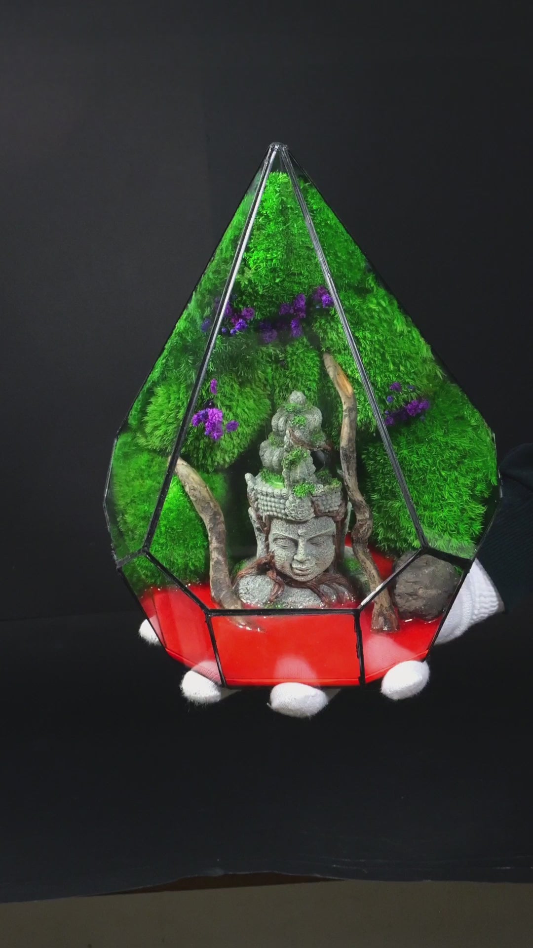 Terrarium ecosistemico decorativo vivo per casa 2