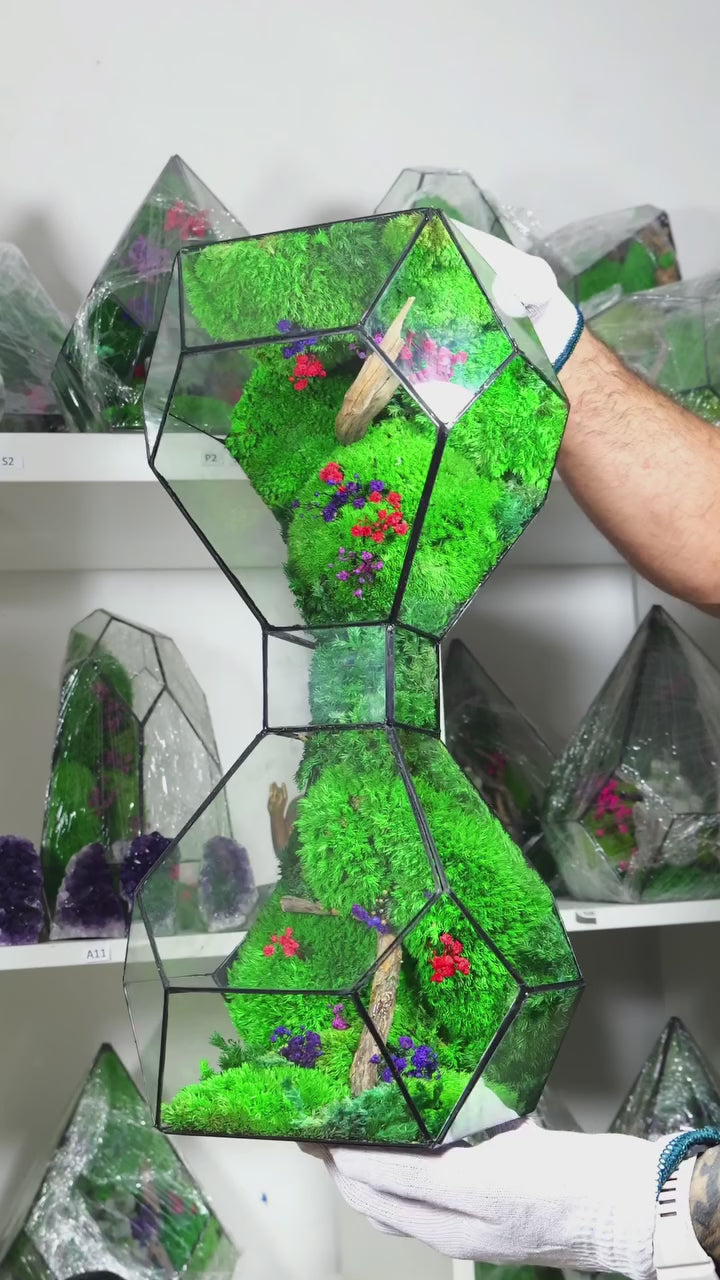 Terrarium in Vetro con Piante Naturali – Ecosistema Decorativo da Interno 50