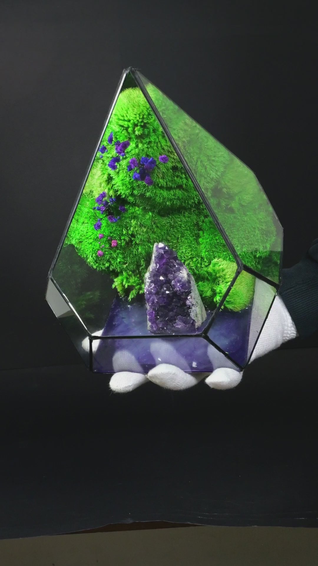 Terrarium ecosistemico autosufficiente decorativo per interni 8