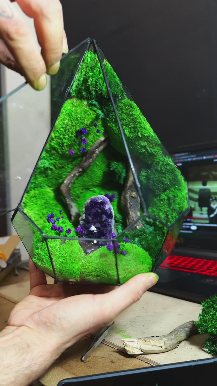 Terrario di Vetro – Idea Regalo Green Originale 45