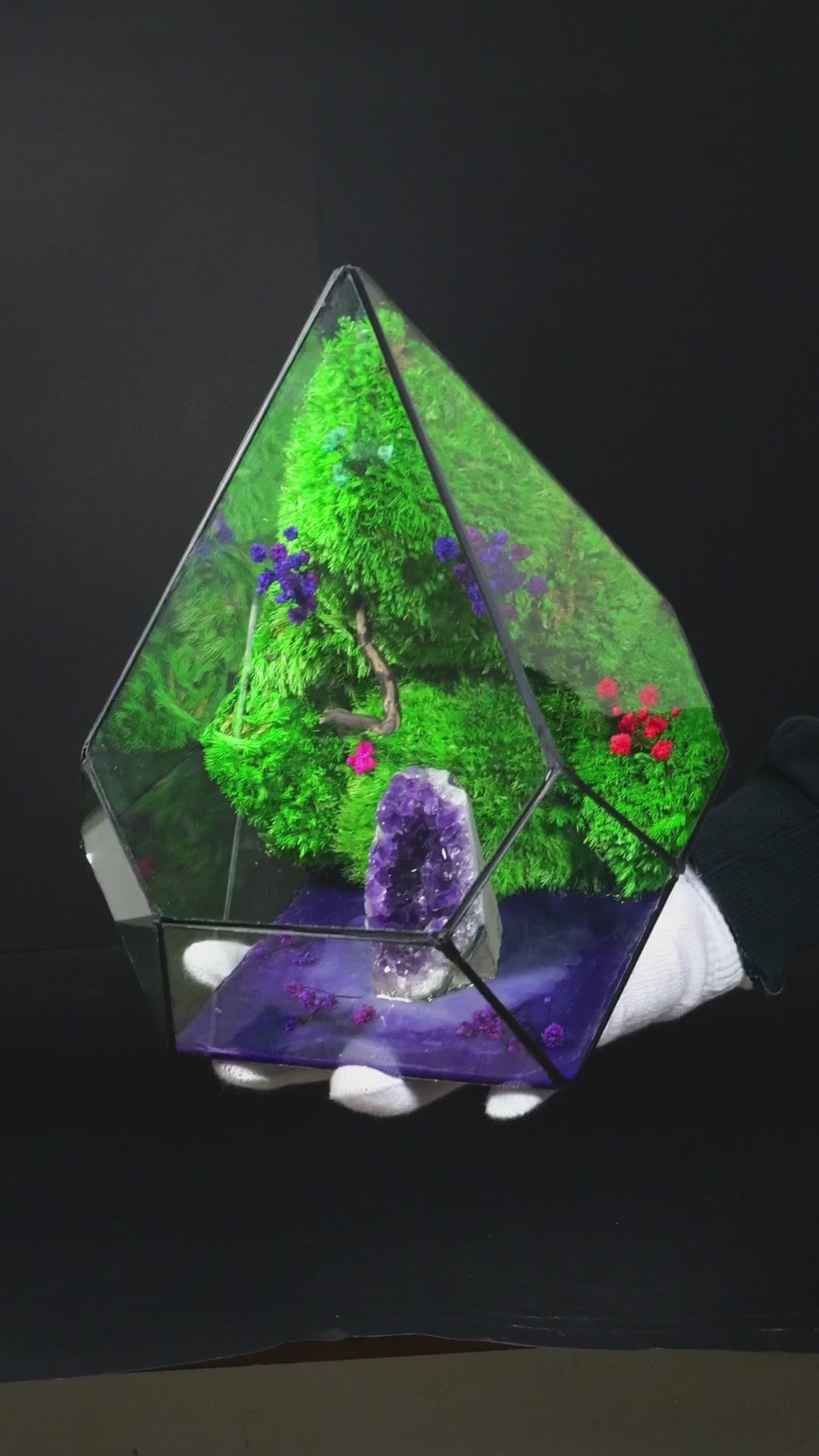 Terrarium con Piante – Ecosistema Vivo in Vetro 46