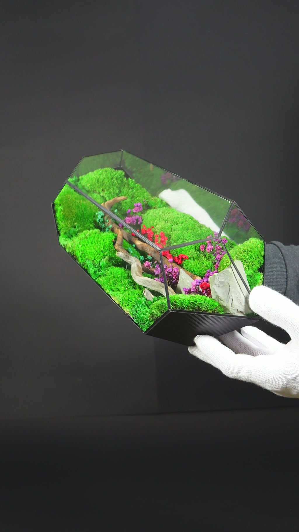 Terrario Botanico Decorativo – Oggetto di Design con Piante 3