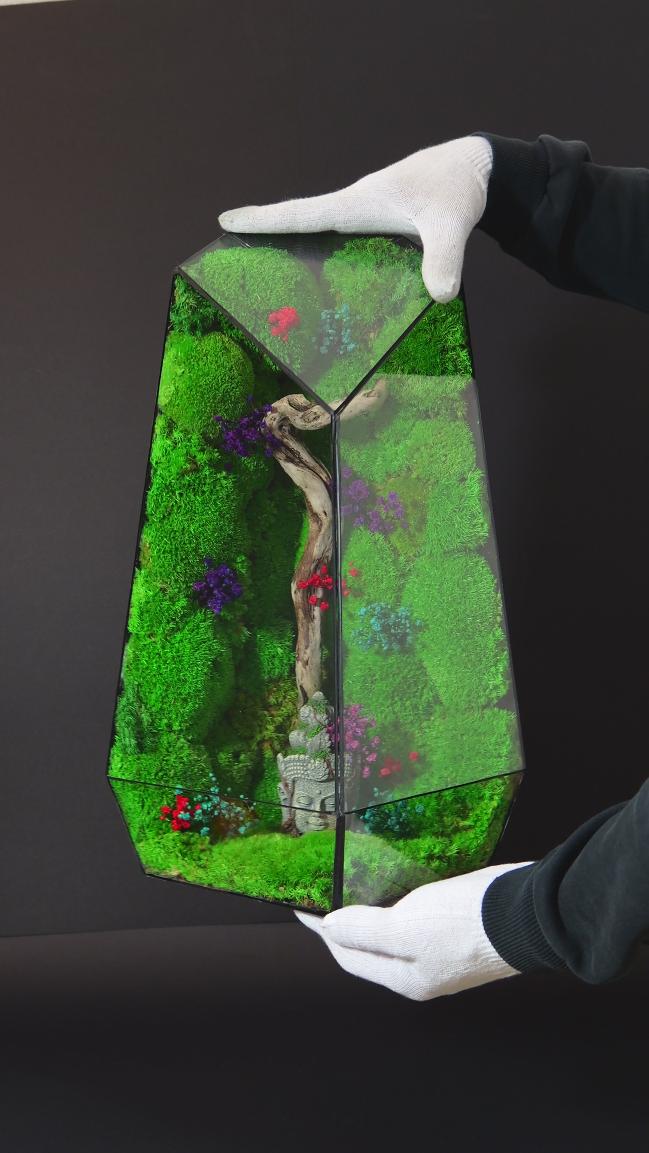 Terrarium con Muschio Stabilizzato – Oggetto Decorativo Green 20