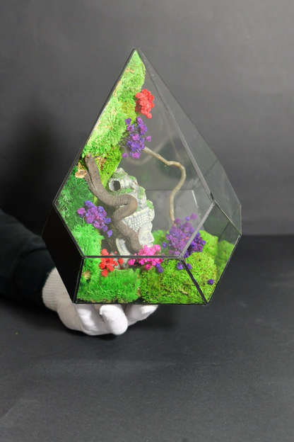 Terrarium 12