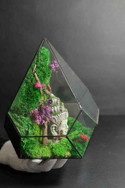 Terrarium 8